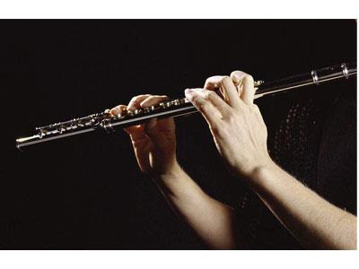 招聘新乡长笛家教老师