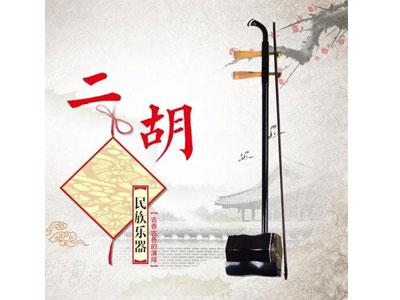 招聘新乡二胡家教老师